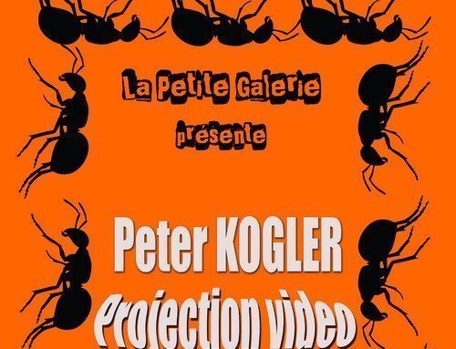 Projection vidéo de l’artiste Peter Kogler en salle de réunion jusqu’au 22 février 2018