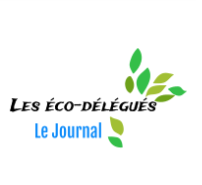 Journal des écodélégués n°1