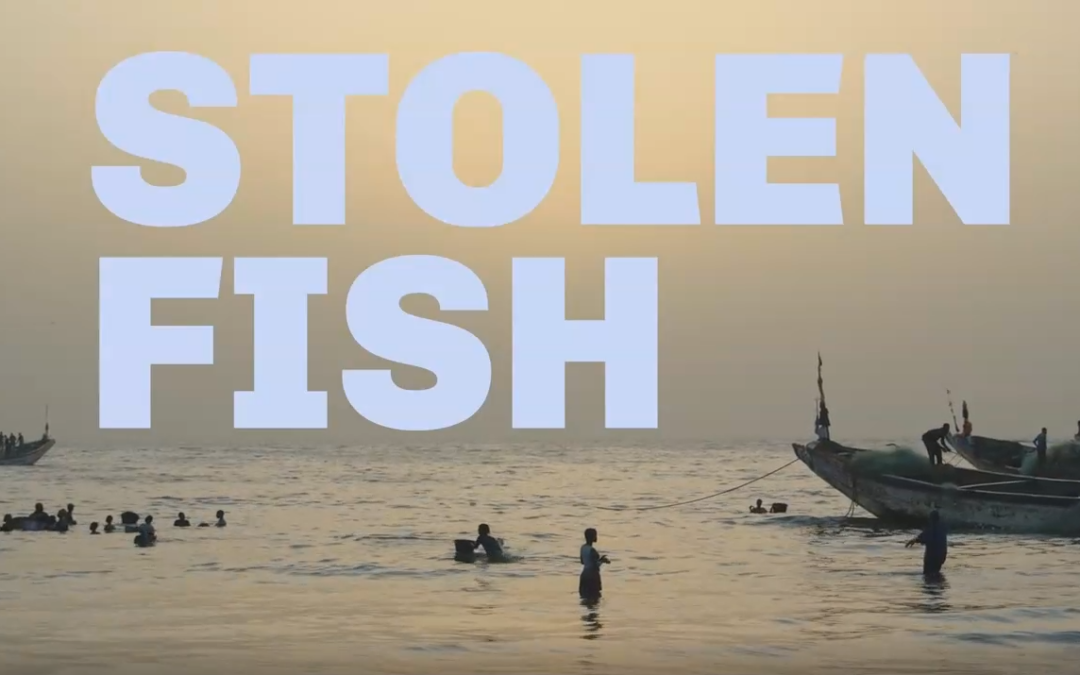 Festival AlimenTerre – Stolen Fish