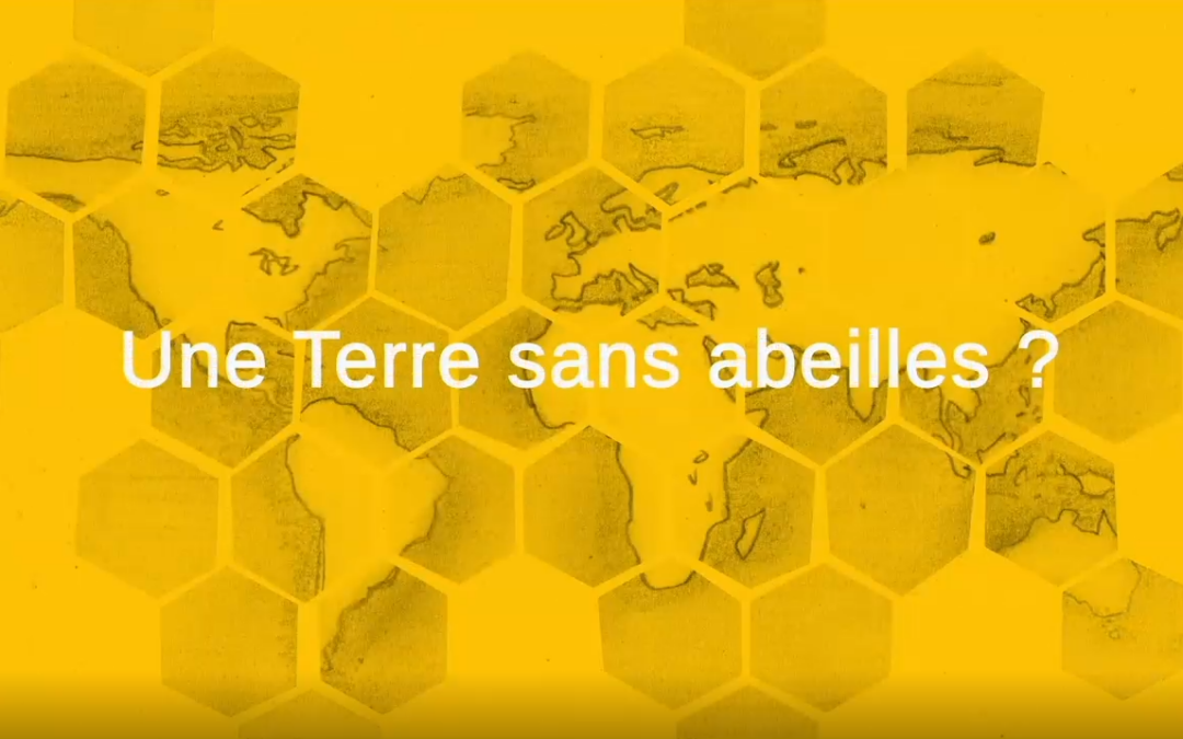 Festival AlimenTerre – Une Terre sans abeilles